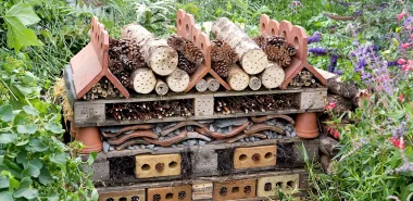 Insektenhotel aus Paletten selber bauen mit Anleitung