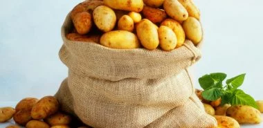 Kartoffeln ernten und lagern: Das sollten Sie dabei beachten!