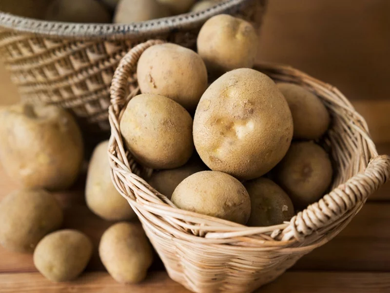 Kartoffeln richtig lagern Ideen und Tipps