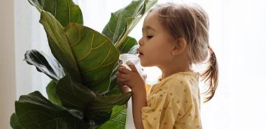 Kranke Zimmerpflanzen retten: 5 Tipps für alle Blumenfreunde!