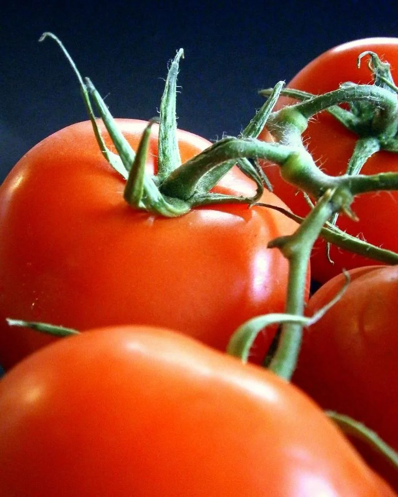 leckere tomaten trends und ideen