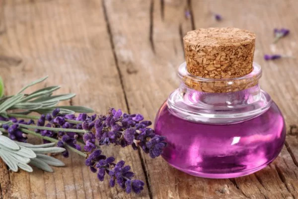 Oele fuer Haarwuchs Lavendeloel Lavendelstaengel einmaliges Aroma unverkennbarer Duft