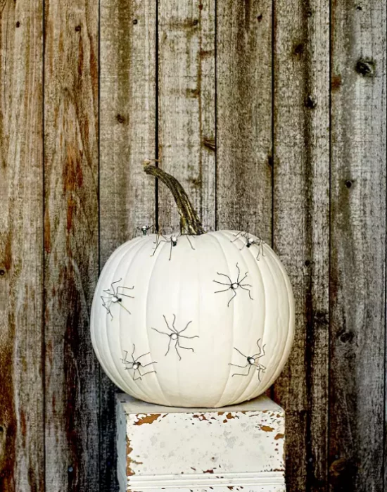 Herbstdeko mit Kuerbissen weisser Kuerbis schwarze Spinnen Deko im rustikalen Stil