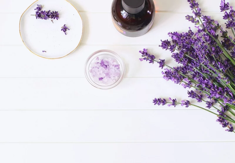 Lavendeltee Wirkung Lavendel fuer die allgemeine Gesundheit