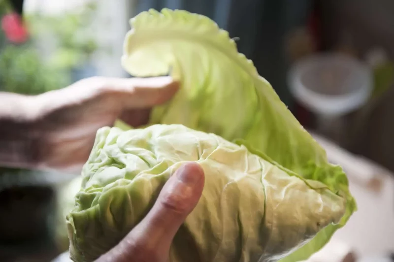 Salatsuppe – Zero Waste Food Trend mit Liebe zur Natur salat aeussere blaetter