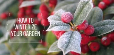 So können Sie Ihren Garten winterfest machen: 7 Gartentipps für den Herbst