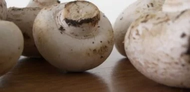 Kann man Pilze einfrieren? 3 Mythen und 5 clevere Tipps und Tricks!