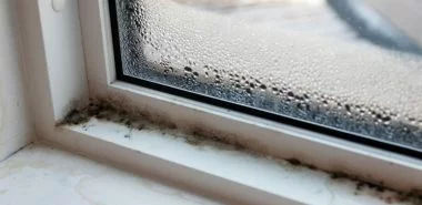Schimmel am Fenster entfernen - Tipps und Hausmittel im Überblick