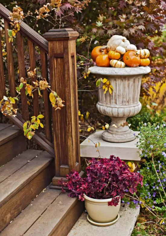 Herbstdeko draussen Holztreppe dekorieren Blumenständer aus Stein weisse und orangefarbene Kuerbisse Herbstblumen Topfpflanze Herbstlaub