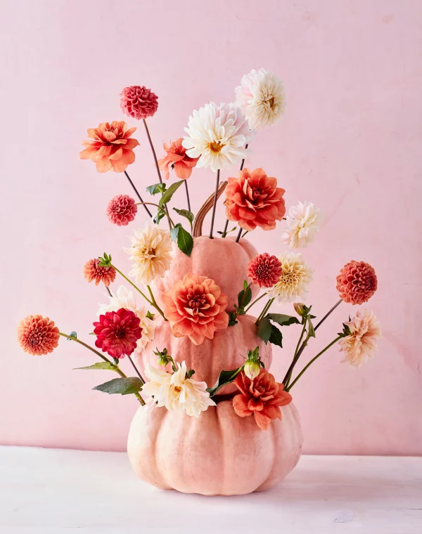 Herbstliche Tischdeko Chrysanthemen Dahlien in Kuerbissen anstatt in Vasen arrangieren