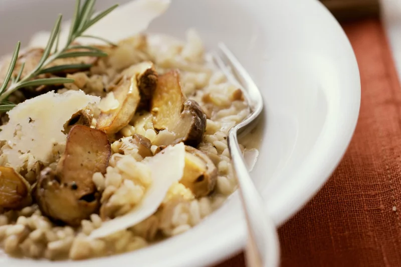 Maronenroehrling – Bestimmungsmerkmale, Naehrwerte und Rezeptideen risotto mit pilzen und parmesan