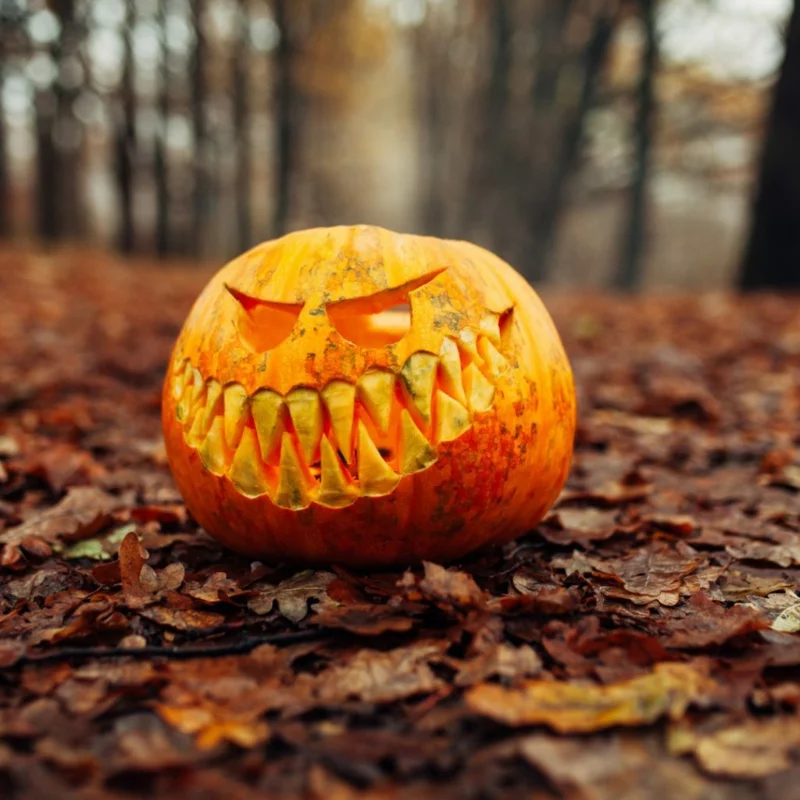 halloween kuerbis motive ideen zum schnitzen grob