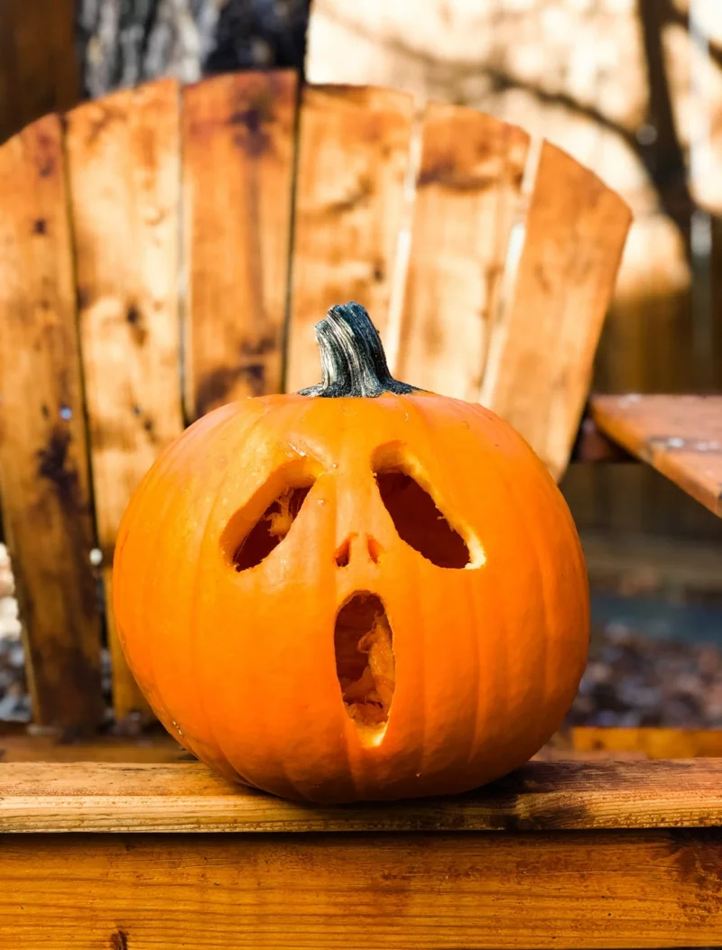 halloween kuerbis motive ideen zum schnitzen gruselig