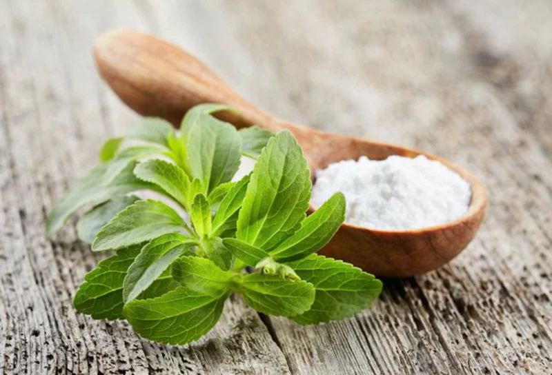 moenchsfrucht vs stevia vorteile zuckerersatz