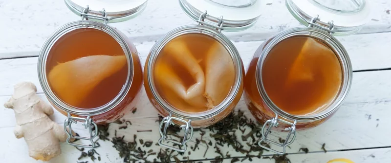 Kombucha selber machen Teepilzgetraenk Rezept