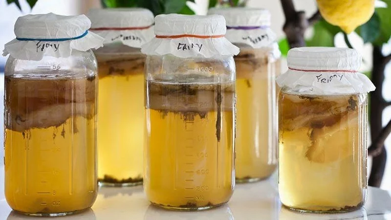 Kombucha selber machen Vorteile Teepilzgetraenk Rezept