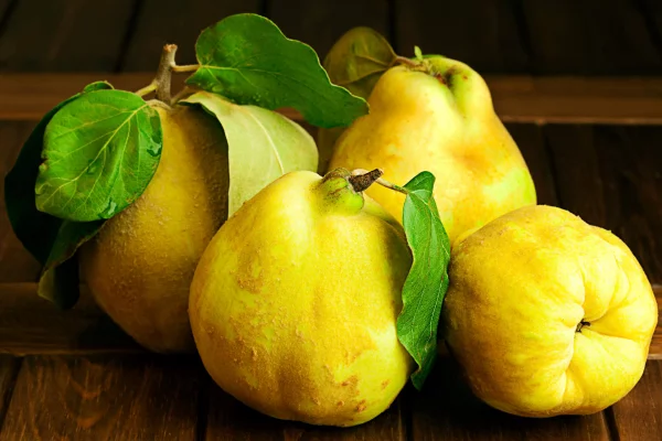 Quitten aromatisches Kernobst gelbe Früchte viele gesunde Inhaltsstoffe