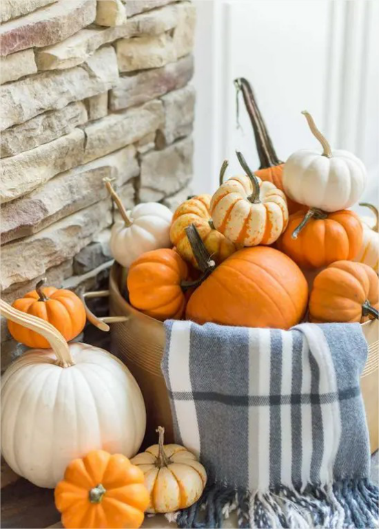 Thanksgiving in den USA weiße und orangefarbene Kuerbisse Herbstdeko