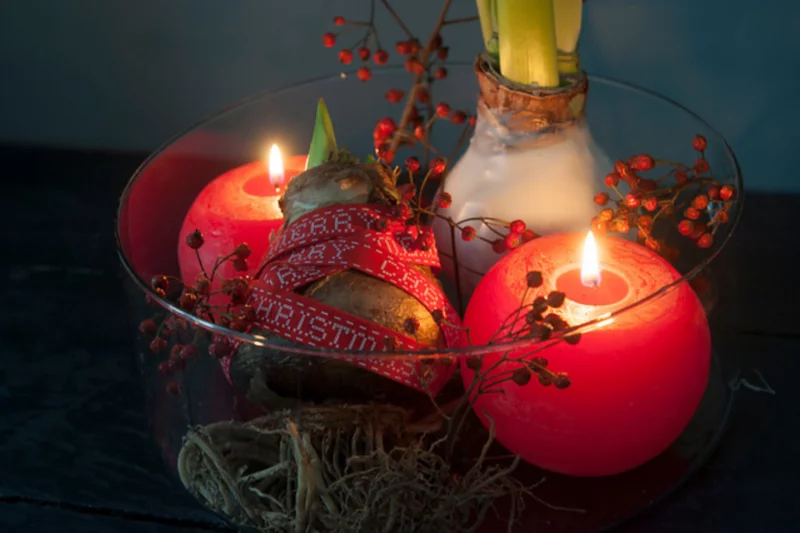 schale weihnachtlich dekorieren mit amaryllis in wachs